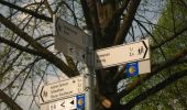 Trail On foot Aachen - [B1] Rückweg IndeRoute - Photo 6