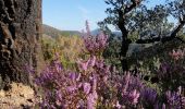 Tour Wandern Fréjus - Mont Aigre et Bonnet de Capelan **ESTEREL** - Photo 2