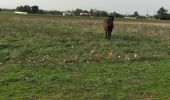 Trail Walking Calmont - Calmont 2 - Photo 3