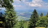 Randonnée Marche Saint-Nabor - ARCA NIEDERSMUNSTER MT STE ODILE - Photo 6