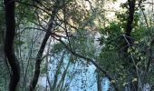 Randonnée Marche Le Thoronet - Le Thoronet- Canal de Ste Croix - Argens - Photo 12