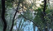 Tour Wandern Le Thoronet - Le Thoronet- Canal de Ste Croix - Argens - Photo 12