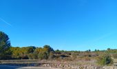 Trail Walking Leucate - plateau leucate - sud est  - Photo 12