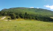 Randonnée Marche La Motte-Chalancon - LA MOTTE CHALANCON - LE PLATEAU DE LA CHAU - Photo 16