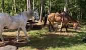 Tour Reiten Sankt Quirin - Camping st quirin belles roches abri Klein haut du bon Dieu halmoze lamperstein  - Photo 19