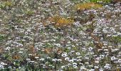 Tour Wandern Montferrat - Montferrat - Chapelle St Roch - ND de Beauvoir - Chapelle de Favas - Borie - Photo 13