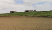 Trail Walking Audresselles - Cran le Noirda - Photo 9