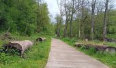 Trail Walking Hamoir - comblain la tour . xhygnesse . comblain fairon . comblain la tour - Photo 5