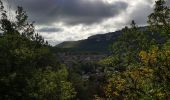 Tour Wandern Saint-Antonin-Noble-Val - Saint Antonin Noble Val pat le cirque de Nibousou - Photo 5