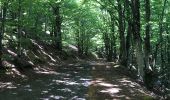 Randonnée Marche Saint-Flour-de-Mercoire - L’Herm Notre dame des neiges - Photo 2