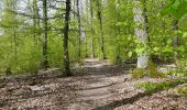 Trail On foot Herrenberg - SchönbuchTrauf - Photo 1