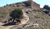 Tour Wandern Castelnou - 20210328 Castelnou-Camelas- boucl - Photo 2