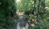 Trail Horseback riding Fanlo - Parc National d’Ordesa J4 - Photo 2