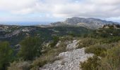 Tocht Stappen Marseille - Les Monts de Luminy  - Photo 4