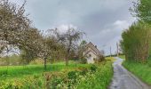 Tour Wandern Beaumont - Balade à Solre-Saint-Géry - Photo 2