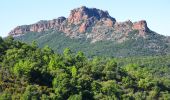 Trail Walking Roquebrune-sur-Argens - L'Escaillon par les Pétignons - Photo 3