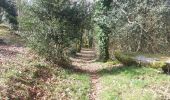 Trail Walking Quistinic - PR_56_Quistinic_BA_02_Circuit1b_Des-Chapelles-Nord_20240321 - Photo 14