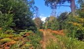 Tour Wandern Dourdan - Le tour du Grand Paris via le GR1 Etape 18 Dourdan Rambouillet - Photo 15