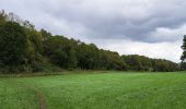 Excursión Senderismo Durbuy - Autour de Tohogne (Durbuy) - Photo 2