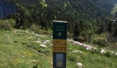 Tour Wandern Montaud - Pas Brochier  - Photo 3