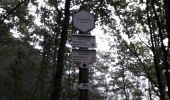 Tocht Stappen Profondeville - Profondeville 080720 - Photo 5