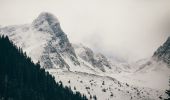 Tocht Te voet Onbekend - Fosta Cabană Urlea - Vf. Urlea - creasta principală - Photo 1