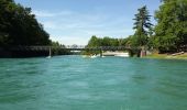 Randonnée Canoë - kayak Uttigen - Aare - Photo 1