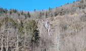 Randonnée Marche Sewen - Lac d'Alfed et sa cascade - tour au pied du Ballon d'Alsace - Photo 5