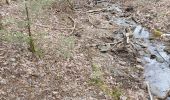 Trail Walking Bouillon - Rochehaut 110521 - Photo 2