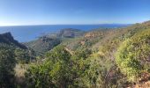 Randonnée Marche Saint-Raphaël - Autour des Pics du Cap Roux  et d'Aurelle depuis Belle Barbe - Photo 10