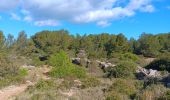 Trail Walking Leucate - leucate . franki plage . leucate - variante - Photo 19