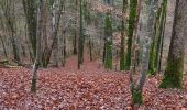 Trail Walking Bar-sur-Seine - Bar-Polidot-Celles 24km le 29.11.2021 - Photo 15