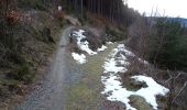 Tour Zu Fuß Sankt Joachimsthal - Lehrpfad Montanlandschaft des Erzgebirges - Photo 8