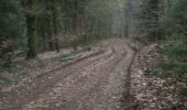 Trail Mountain bike Virton - Aux sources du Ton  -  Balade_VTT_35kms - Photo 1
