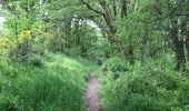 Trail Walking Saint-Malo-de-Beignon - 16.05.2019 - ST Malo de BEIGNON à GUER - Photo 5