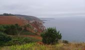 Tocht Stappen Crozon - GR34  Morgat. --  Pentrez - Photo 2