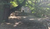 Trail Walking Saint-Martin-de-l'Arçon - le Caroux - Photo 4