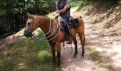 Trail Horseback riding Métairies-Saint-Quirin - rond pré rocher de calice  - Photo 3