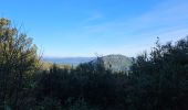 Tour Wandern Signes - Montée vers le plateau de la Limatte en partant de Signes  - Photo 6