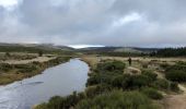 Trail Walking Pont de Montvert - Sud Mont Lozère - Masméjean / le pont du Tarn - Photo 10