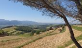 Excursión Senderismo Buisson - Buisson  - Photo 4