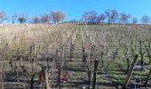 Tour Wandern Mittelweier - Les perles du vignoble  : Mittelwihr - Beblenheim - Zellenberg - Hunawihr - Riquewihr. - Photo 1