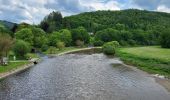 Tocht Stappen Vresse-sur-Semois - Laforet 200524 - Photo 3