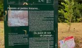 Trail On foot Lille - circuit des Remparts lille - Photo 10