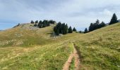 Tour Wandern Saint-Pierre-de-Chartreuse - Circuit autour de Pravouta (Saint Hilaire du Touvet) - Photo 6