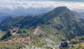 Tour Wandern São Roque do Faial - Pico Ruibo - Photo 11