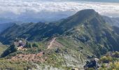 Randonnée Marche São Roque do Faial - Pico Ruibo - Photo 11