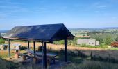 Tocht Stappen Trois-Ponts - GR 14 BASSE-BODEUX - BANEUX TABLE D'ORIENTATION  - Photo 1