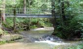 Tour Zu Fuß Scheidegg - Wandertrilogie Etappe 39 Scheidegg-Lindenberg - Photo 2