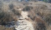 Randonnée Trail ביתר עילית - Husan WHP - Photo 4